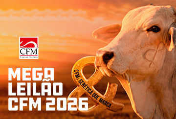 MEGA LEILÃO CFM 2026